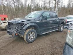 Salvage trucks for sale at Cookstown, ON auction: 2017 Ford F150 Supercrew