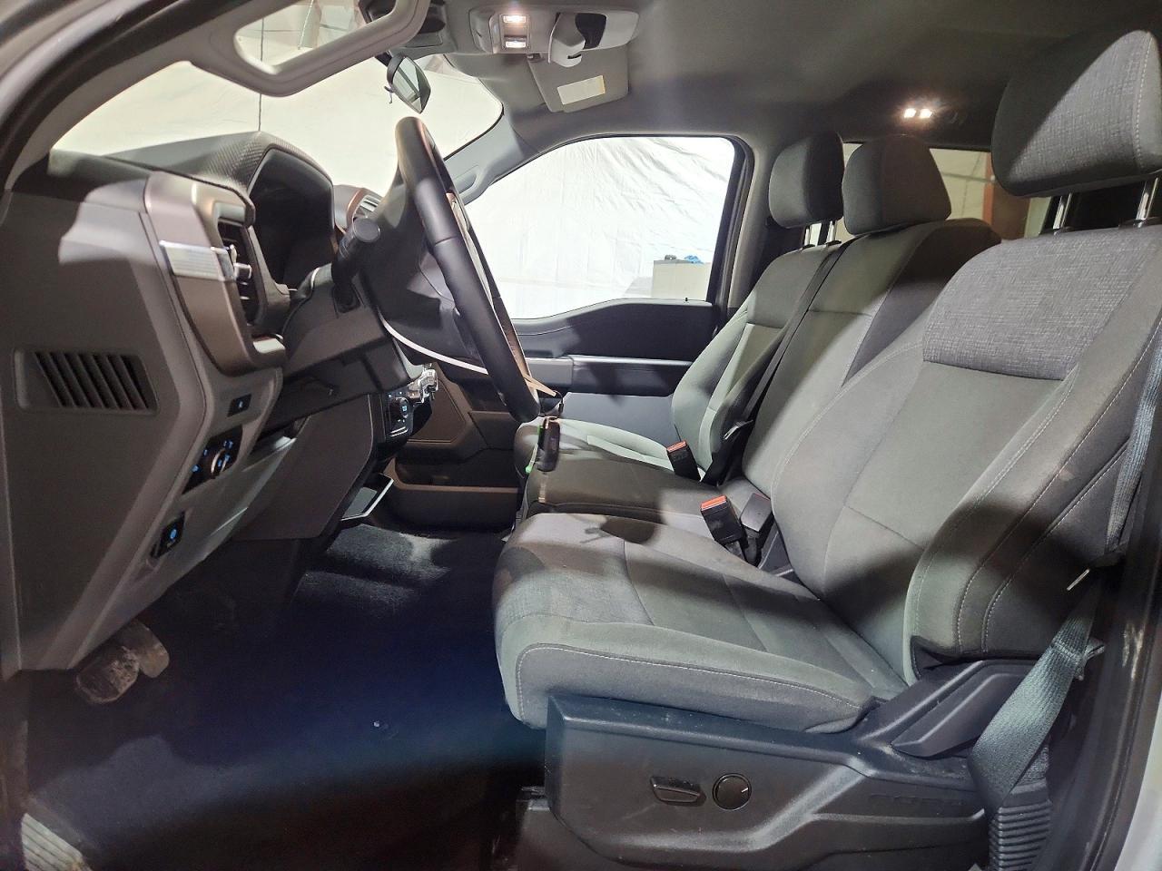 2025 Ford F150 XLT