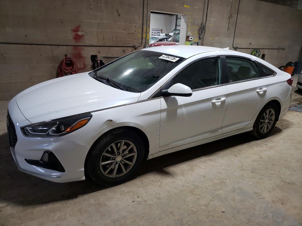2019 Hyundai Sonata se