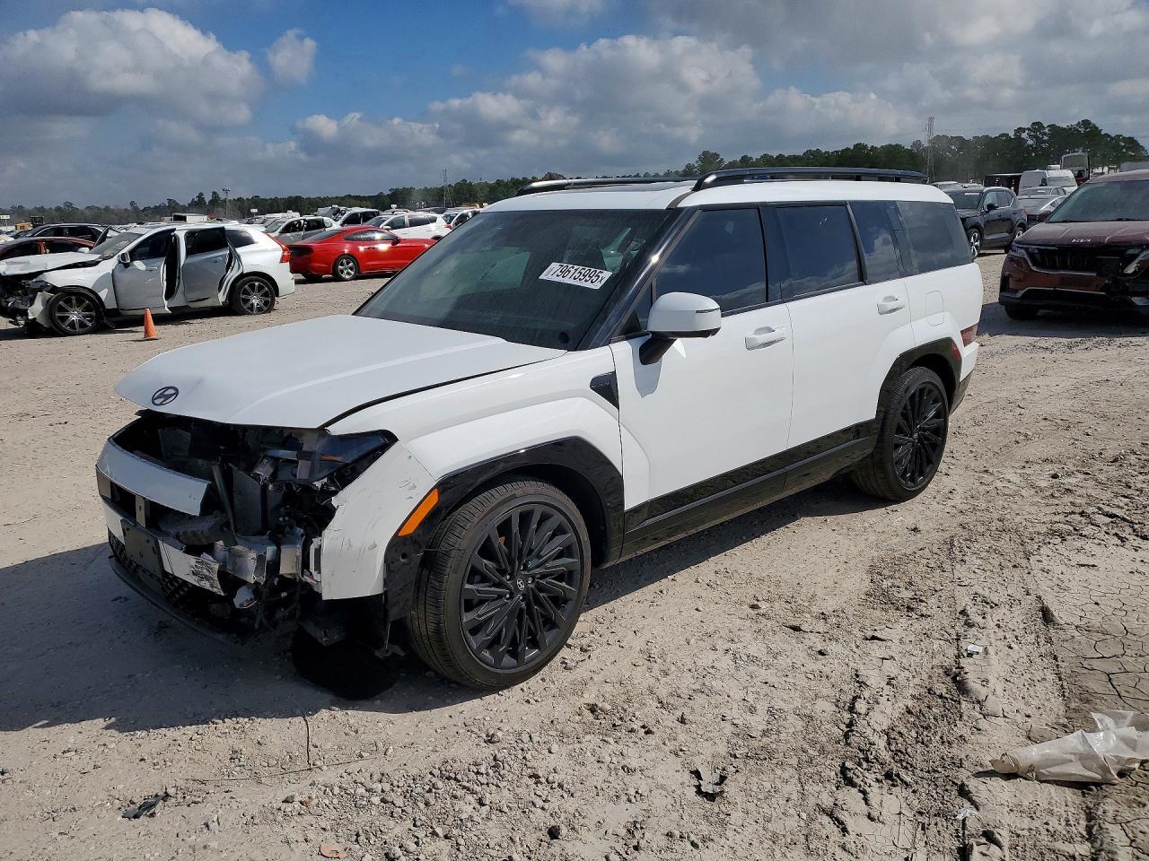 2025 Hyundai Santa fe Calligraphy
