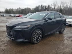 Lexus salvage cars for sale: 2024 Lexus Rx 350 Base