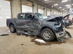 2025 Ford F150 XLT