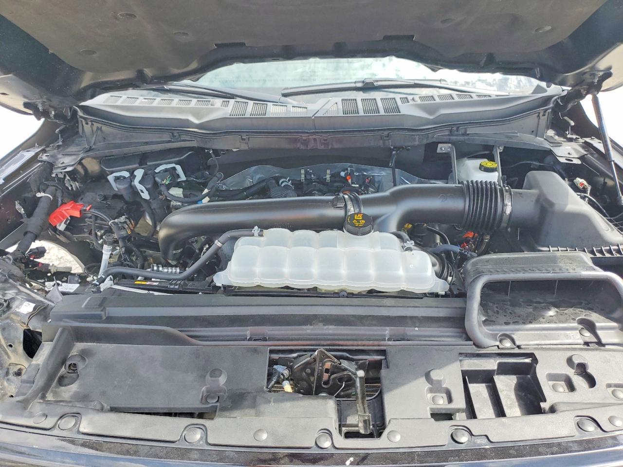 2025 Ford F150 XLT