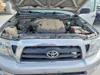 2005 Toyota Tacoma Prerunner V6