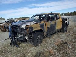 Toyota salvage cars for sale: 2025 Toyota Tacoma TRD Sport