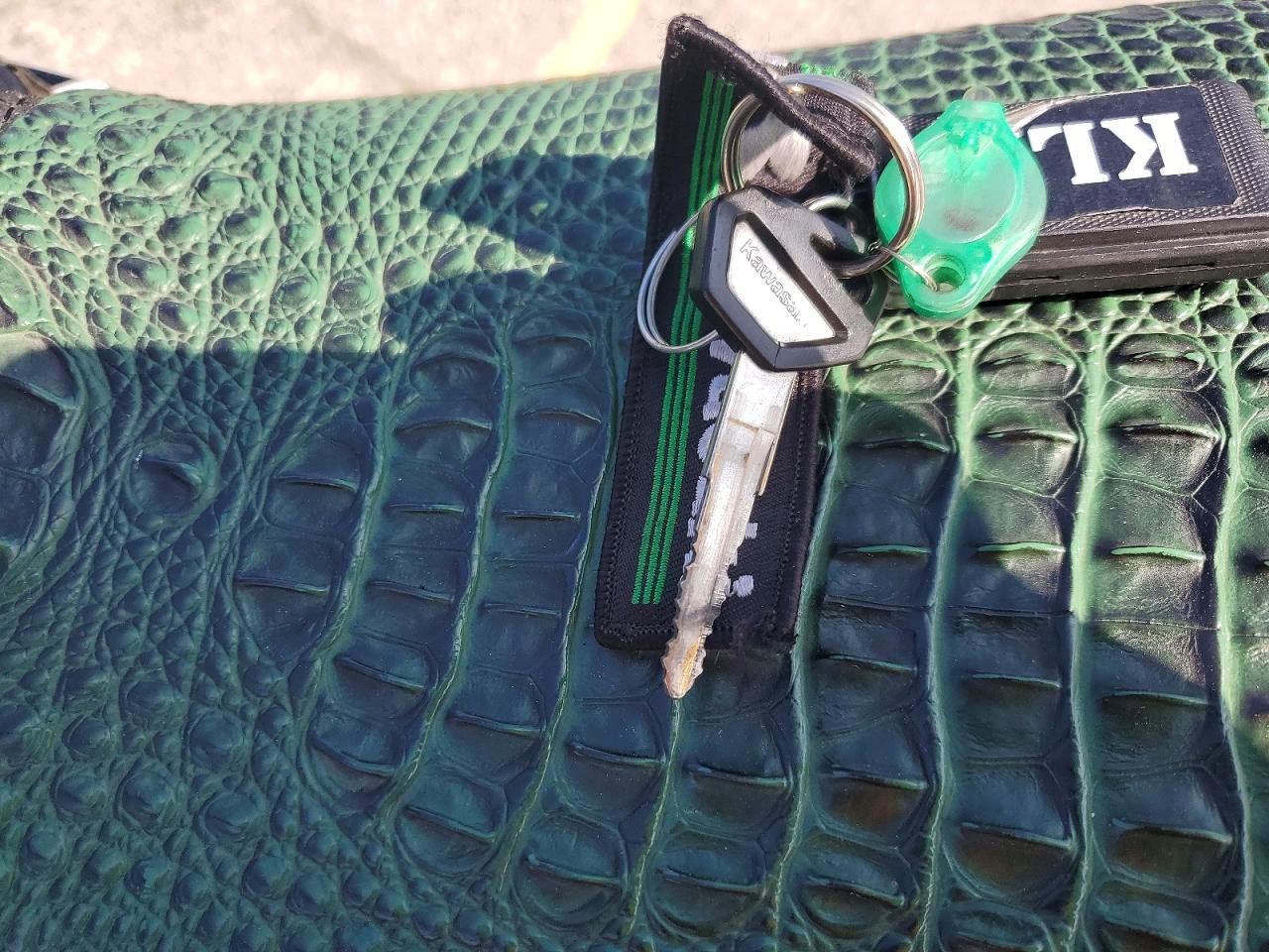 2022 Kawasaki KLX300 D