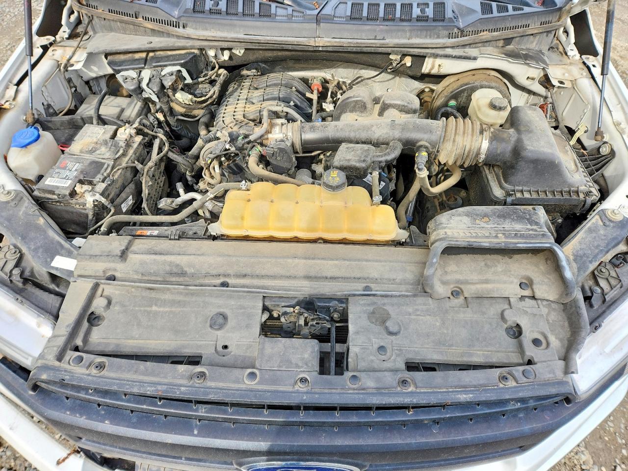 2019 Ford F150