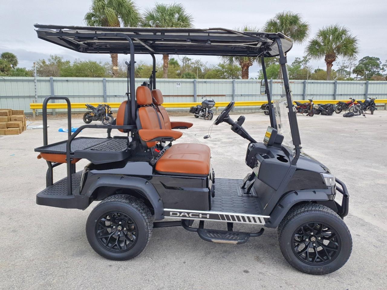2026 Golf Cart 2026 Dach Golf Cart