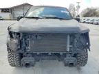 2024 Ford F150 XL