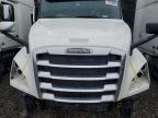 2019 Freigliner 2019 Freightliner ALL Models-Semi Truck