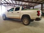 2024 Chev Colorado
