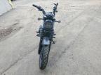 2023 Honda CL500 A