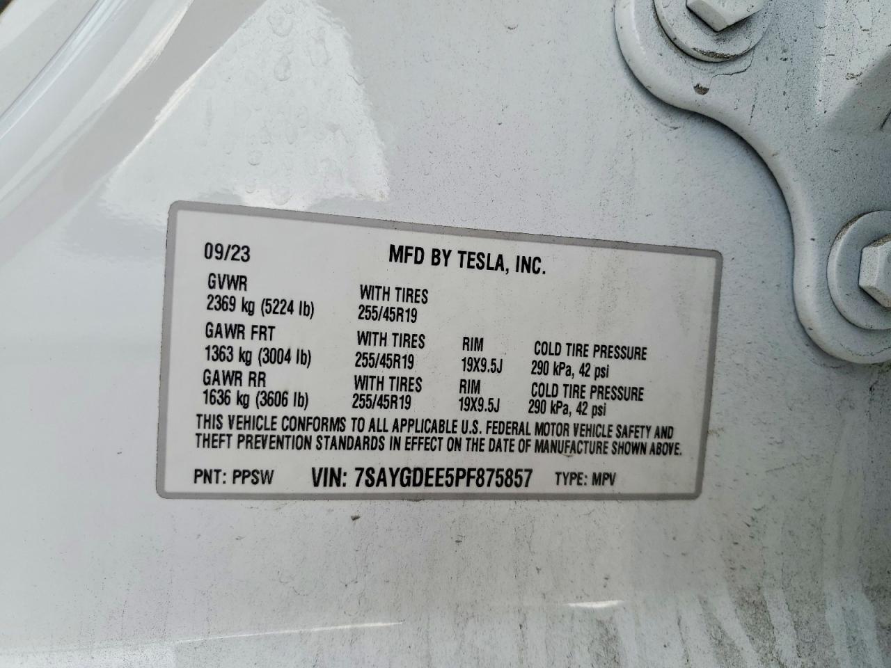2023 Tesla Model y