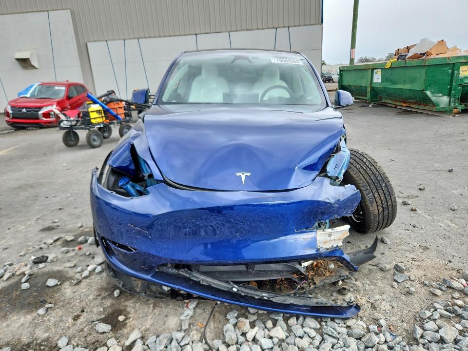 2025 Tesla Model y