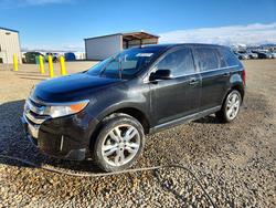 2013 Ford Edge Limited en venta en Helena, MT