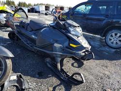 Skidoo salvage cars for sale: 2024 Skidoo Skandic LE 900 ACE