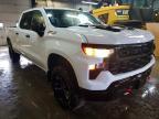 2024 Chevrolet Silverado K1500 Trail Boss Custom