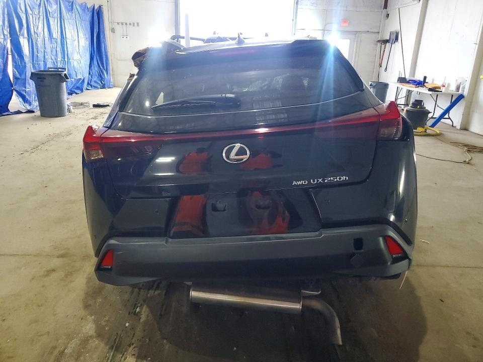 2024 Lexus Ux 250h Premium