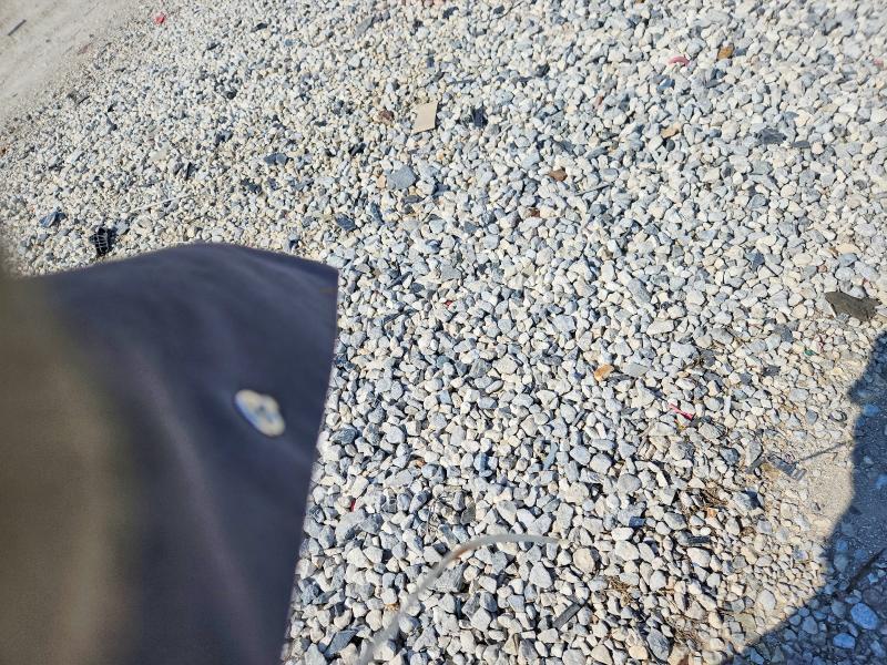 2007 Chevrolet Silverado C1500