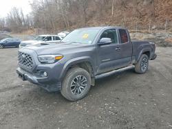Vehiculos salvage en venta de Copart Marlboro, NY: 2022 Toyota Tacoma TRD Sport