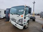 2020 Isuzu NPR HD Truck Cab AND Chassis