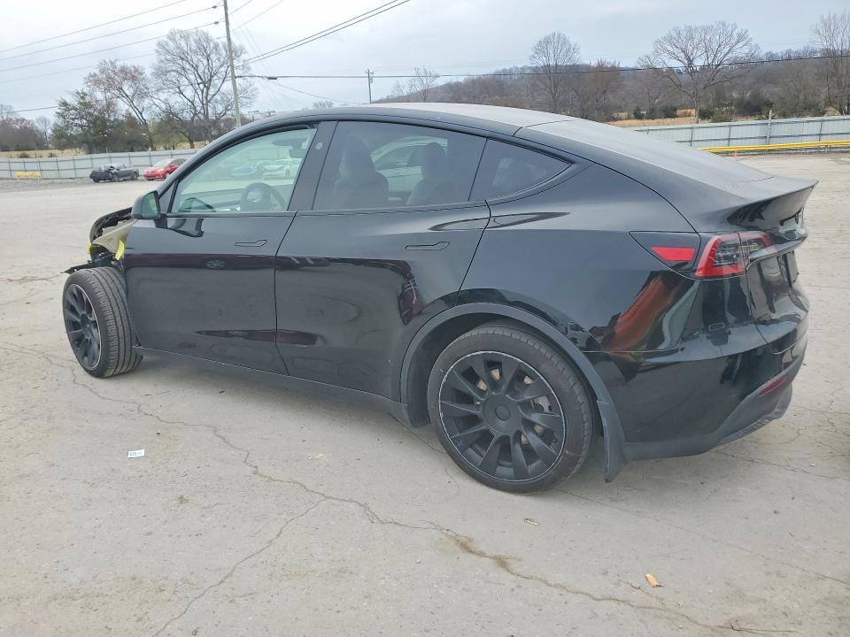 2025 Tesla Model y