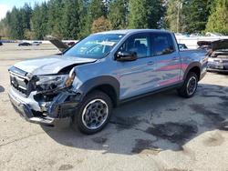 Salvage trucks for sale at Arlington, WA auction: 2024 Honda Ridgeline Sport