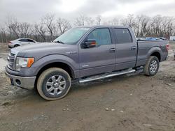 2013 Ford F150 Supercrew for sale in Baltimore, MD