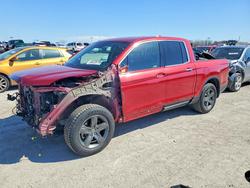 Salvage cars for sale from Copart Indianapolis, IN: 2023 Honda Ridgeline RTL-E