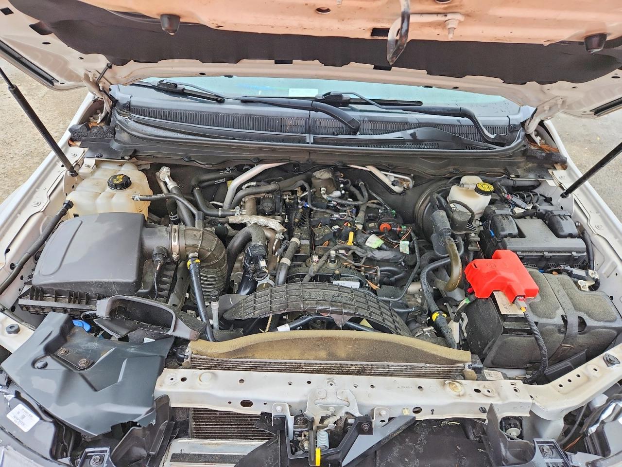 2019 Ford Ranger XL