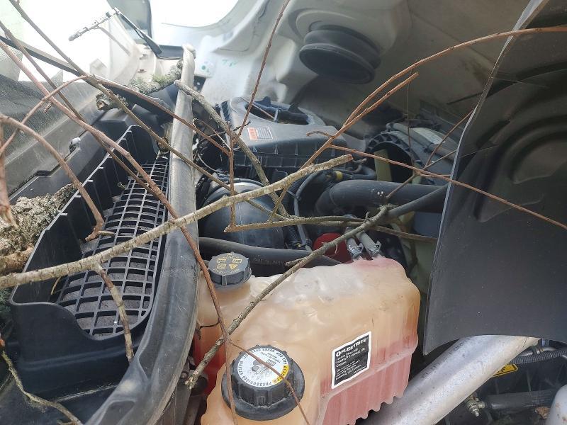 2024 International MV607 BOX Truck