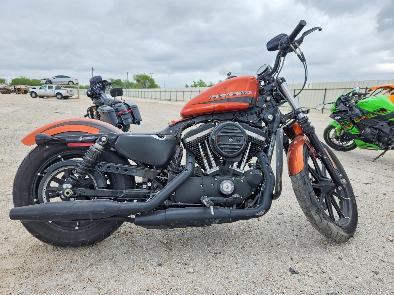 2020 Harley-Davidson XL883 N
