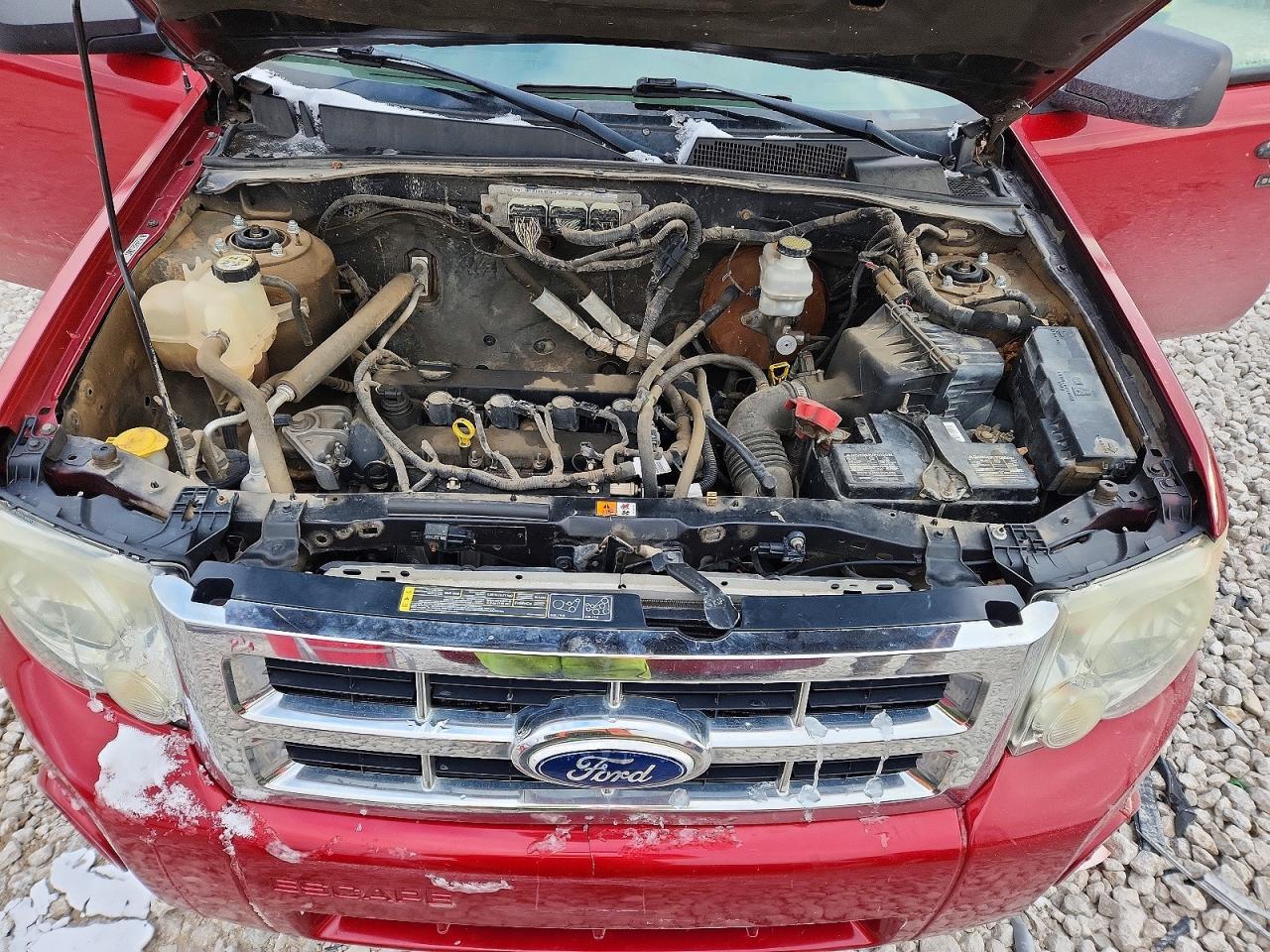 2010 Ford Escape xlt