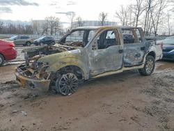 Salvage cars for sale from Copart Central Square, NY: 2014 Ford F150 Supercrew