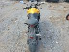 2026 Triumph Tiger