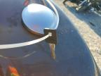 2022 Harley-Davidson XL883 N