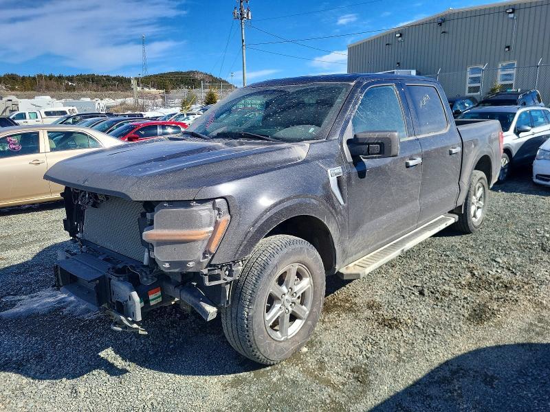 2025 Ford F150 XLT