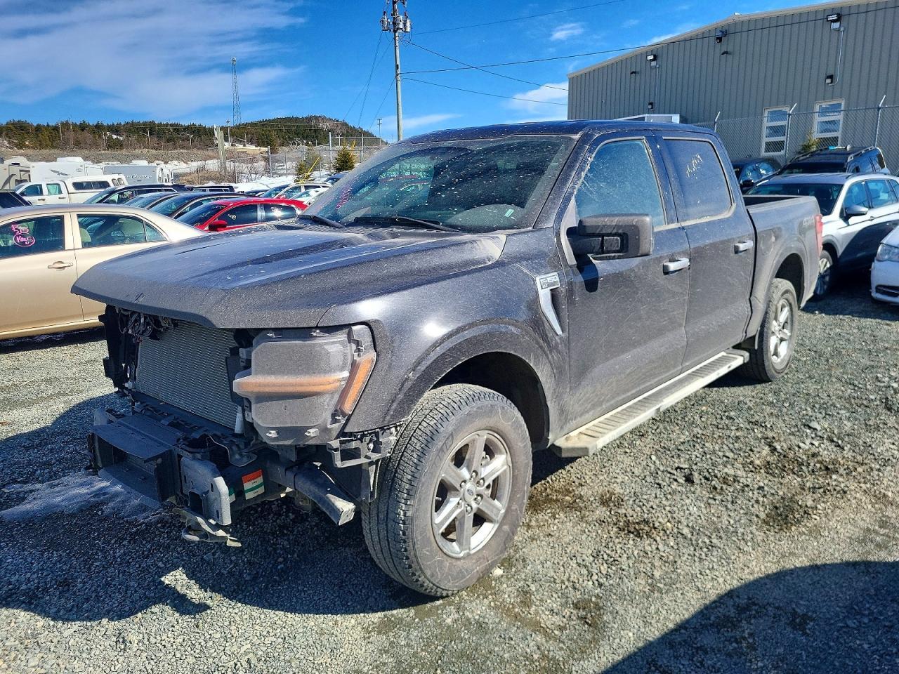 2025 Ford F150 XLT