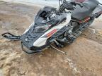 2019 Skidoo Renegade Adrenaline