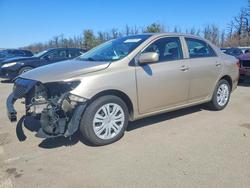 Salvage cars for sale from Copart Brookhaven, NY: 2010 Toyota Corolla le