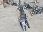 2025 Harley-Davidson Fxbb