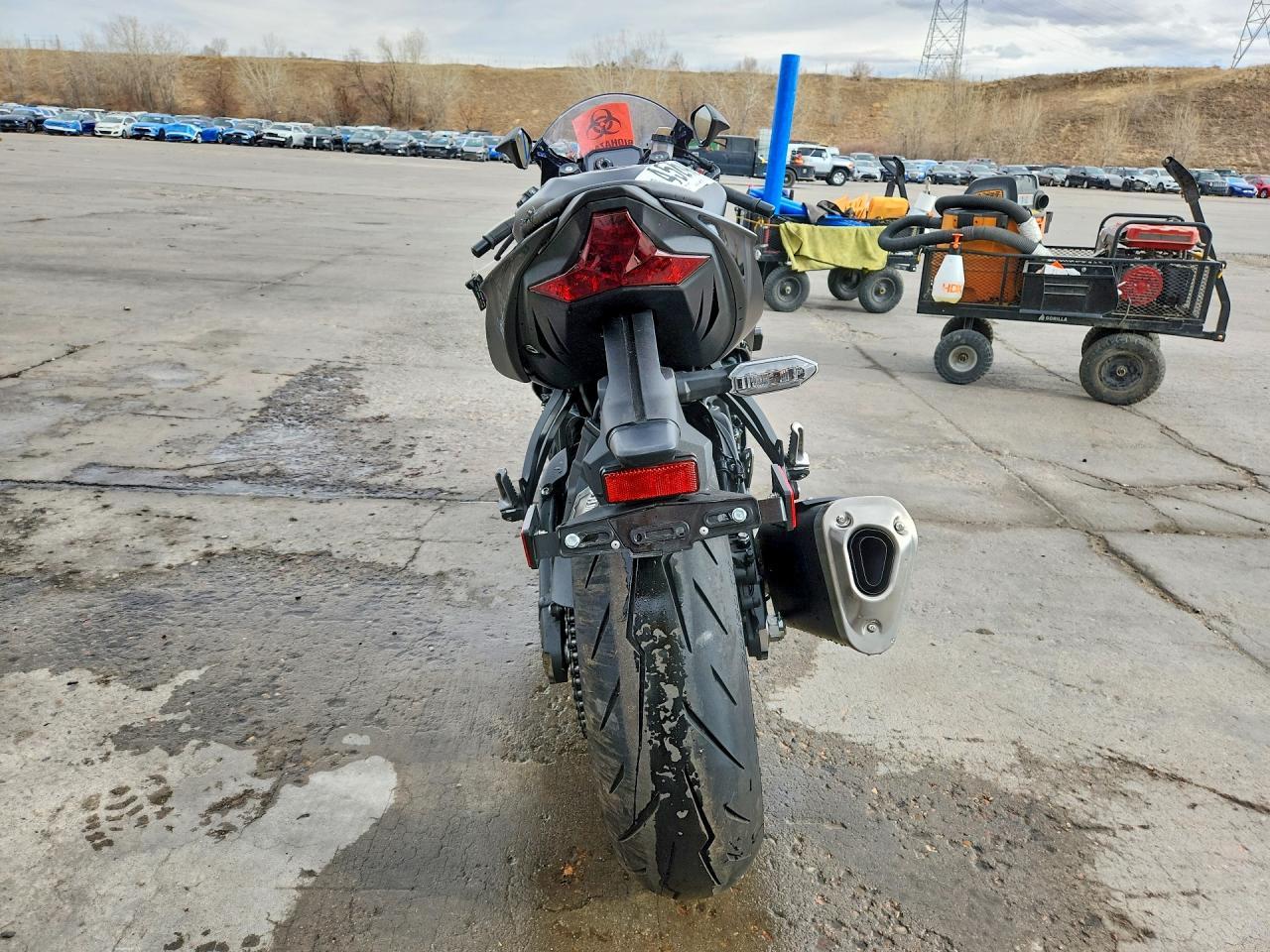 2024 Kawasaki ZX636 K