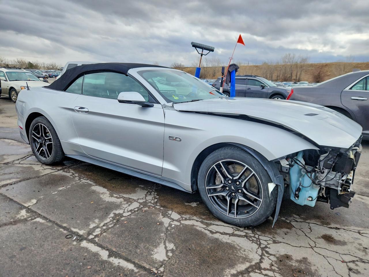 2019 Ford Mustang gt