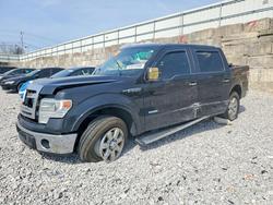 Vehiculos salvage en venta de Copart Walton, KY: 2014 Ford F150 Supercrew
