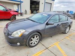 Nissan salvage cars for sale: 2006 Nissan Maxima 3.5 se