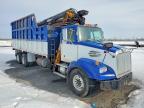 2006 Western Star Conventional 4900SA