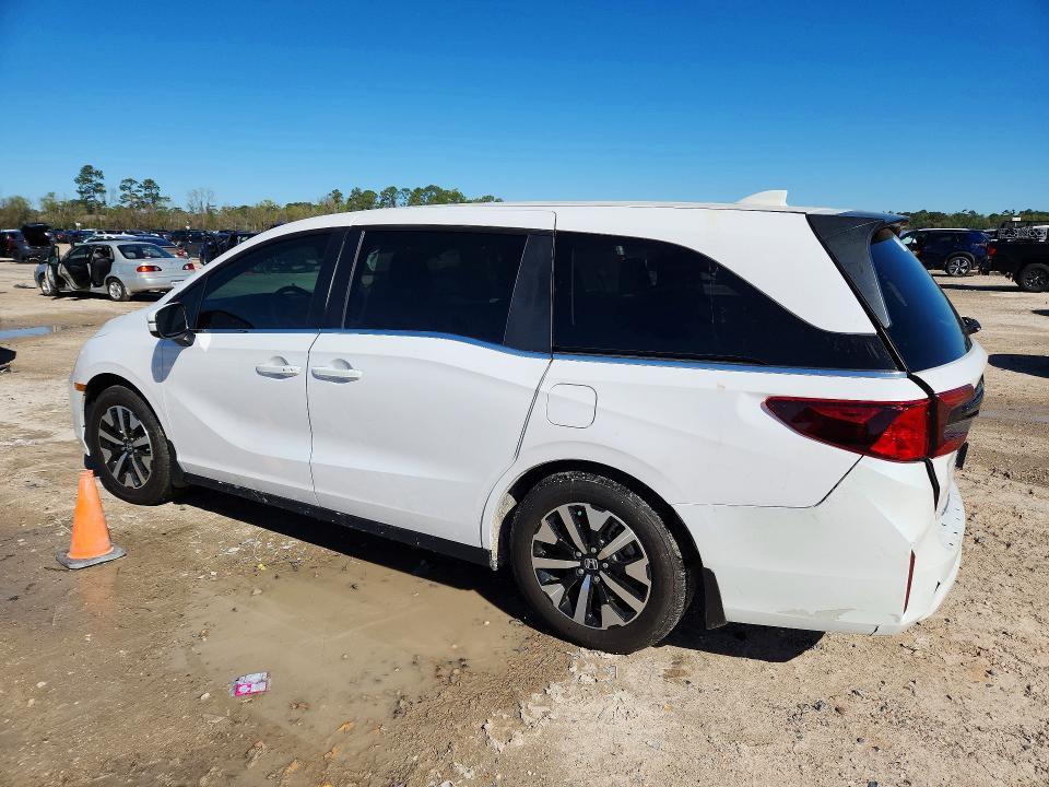 2026 Honda Odyssey exl