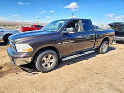 Salvage trucks for sale at Albuquerque, NM auction: 2011 Dodge RAM