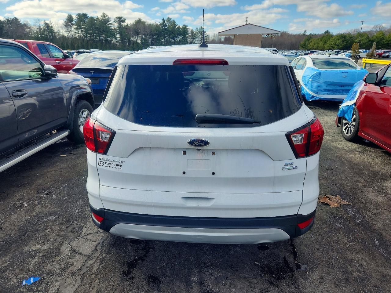 2019 Ford Escape se