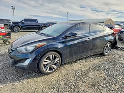 2014 Hyundai Elantra Limited en venta en Brighton, CO